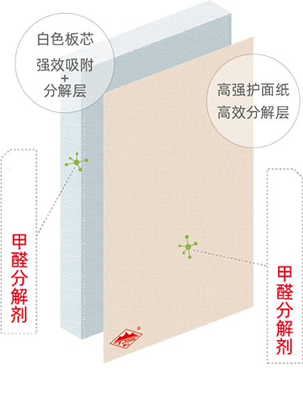 888u集团(中国)有限公司